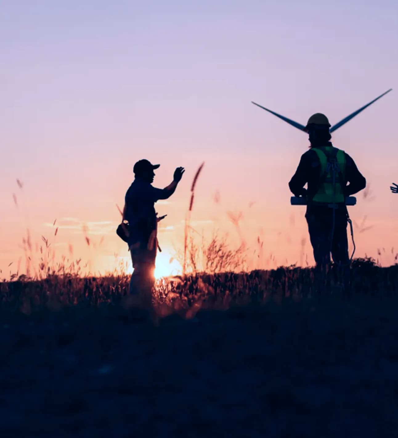 Profesionales en campo al atardecer